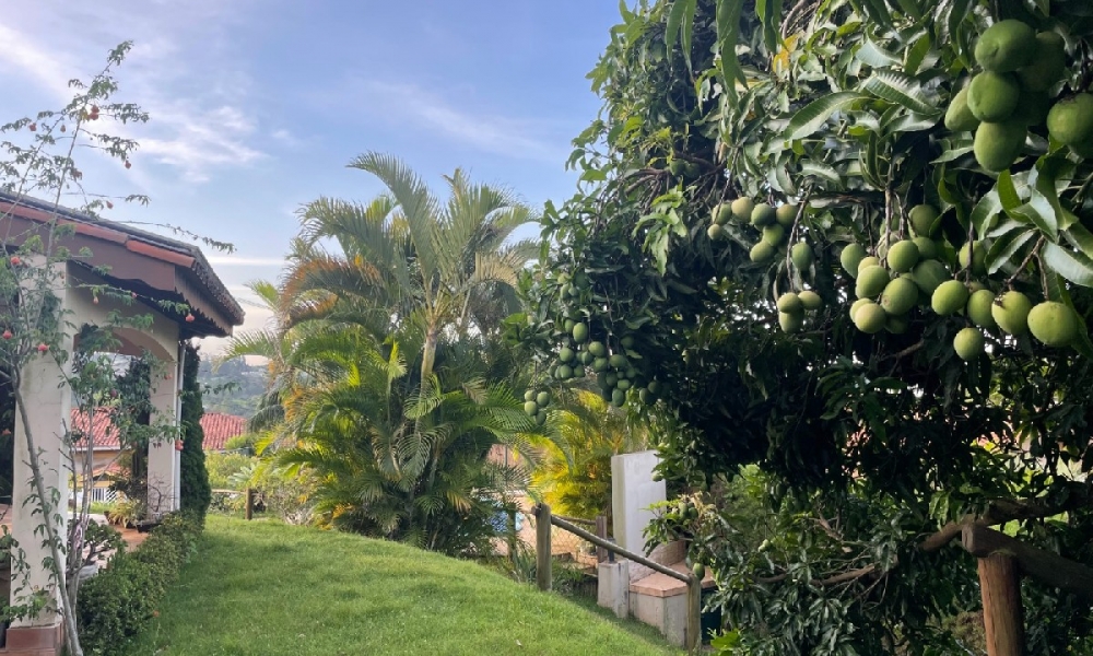 Linda casa com piscina em Serra Negra SP